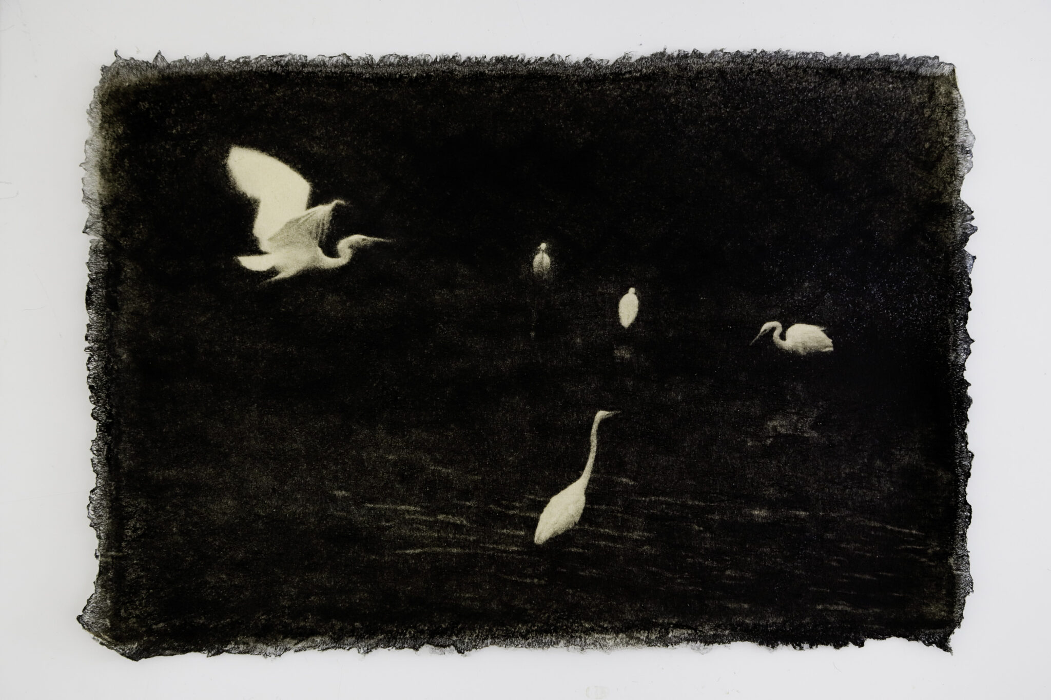 Ephemeral Moments 10