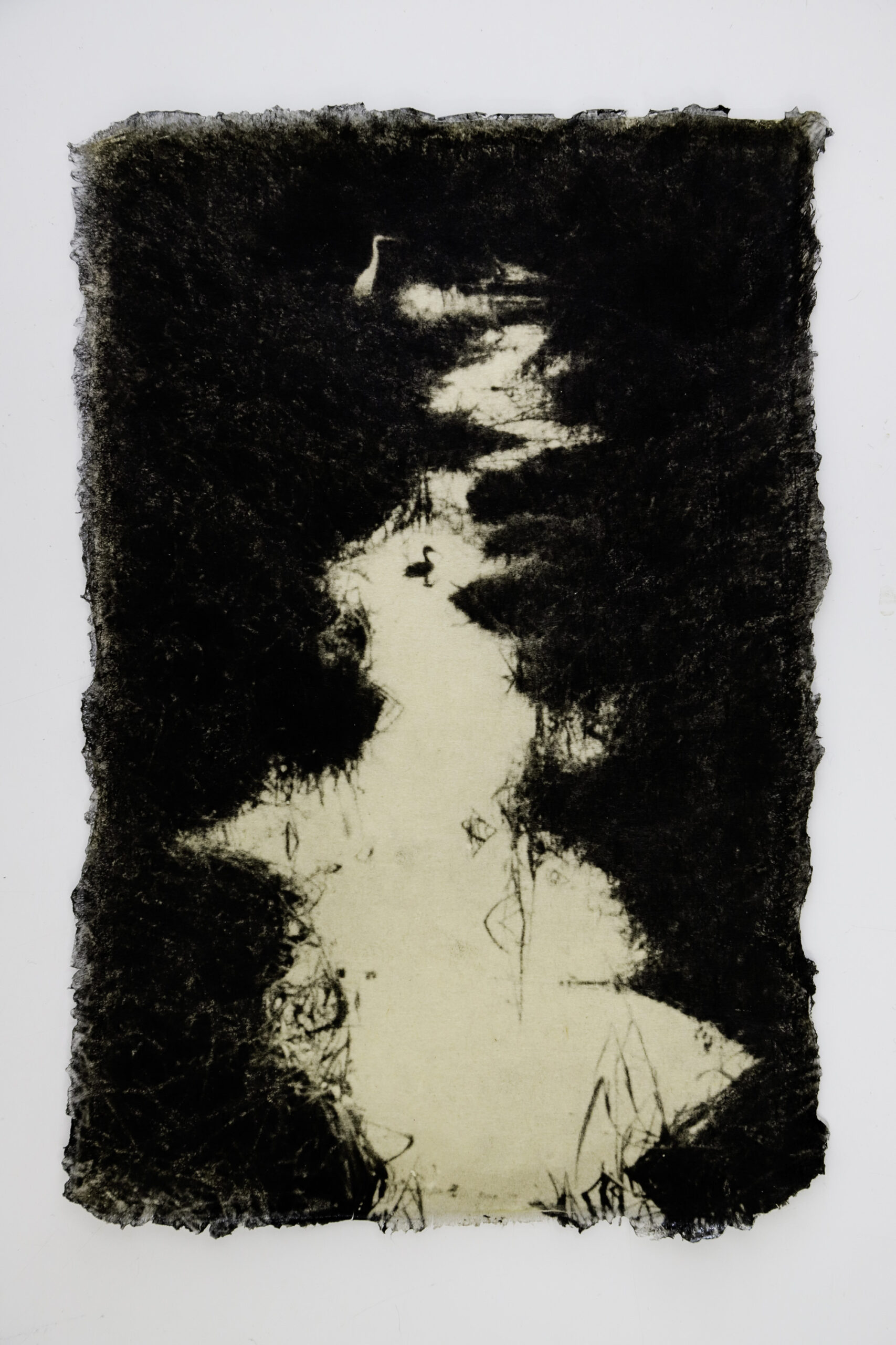 Ephemeral Moments 11