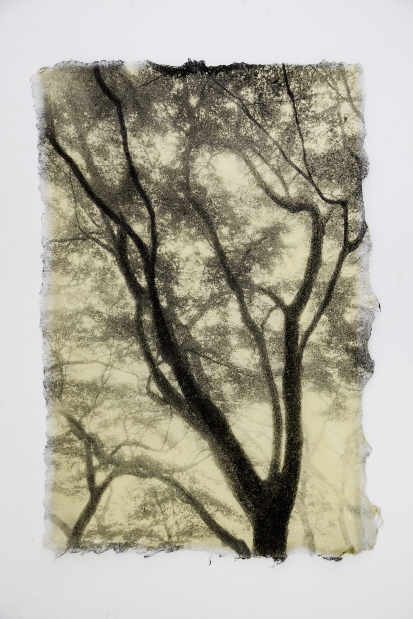 Ephemeral Moments 14