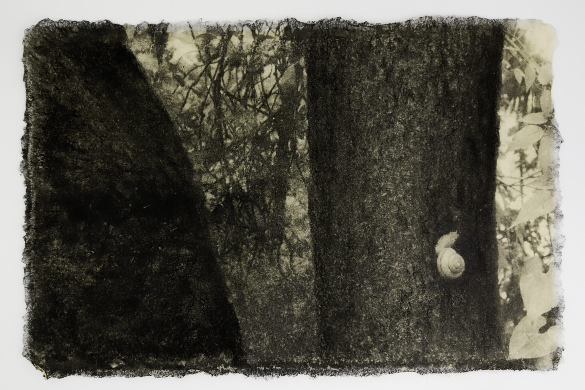 Ephemeral Moments 15