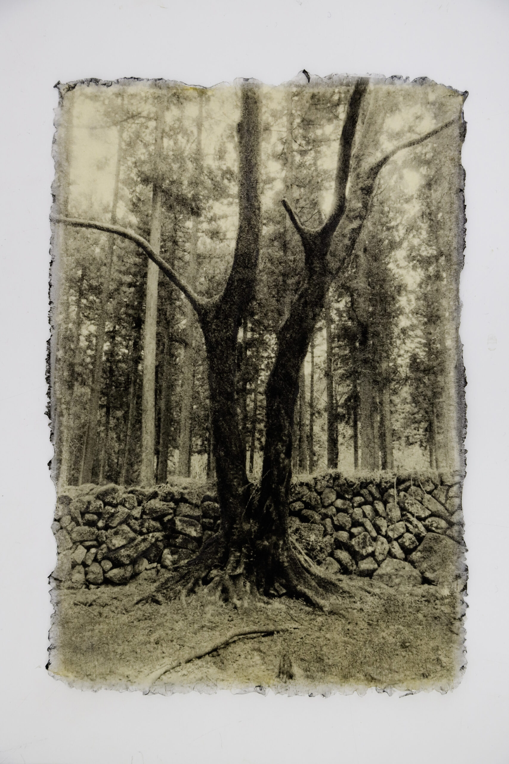 Ephemeral Moments 17