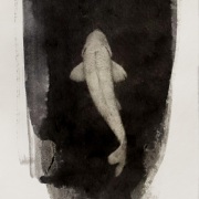 Nokomi-1 2022-0921-2